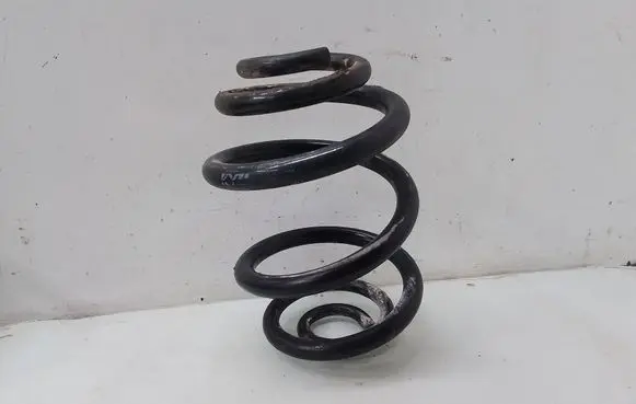 Rear coil spring