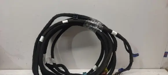 Renault Arkana Other wiring loom 282434243R
