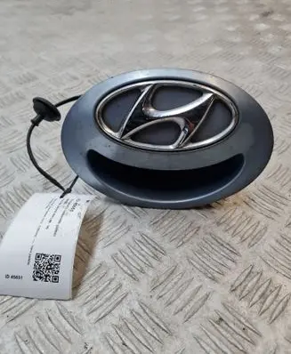 Hyundai i20 (PB PBT) Tailgate/trunk/boot exterior handle 873711J600