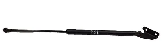 Tailgate/trunk strut/damper