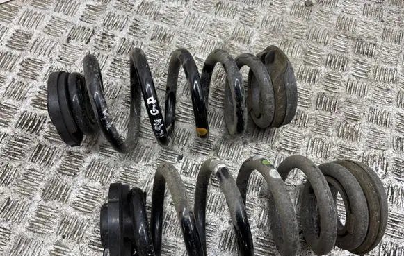 Rear coil spring