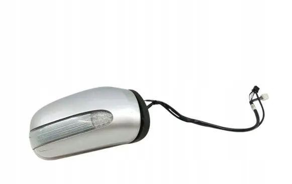 Mercedes-Benz S W220 Front door electric wing mirror 254018