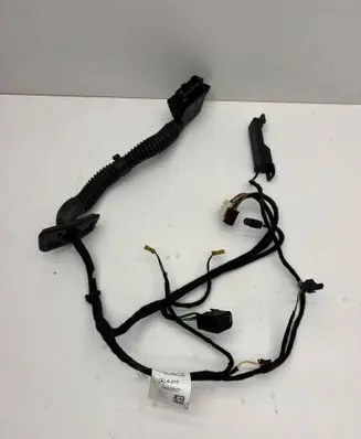 Mercedes-Benz S C217 Front door wiring loom A2175402807