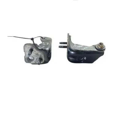 Ford Edge II Rear door hinge set 