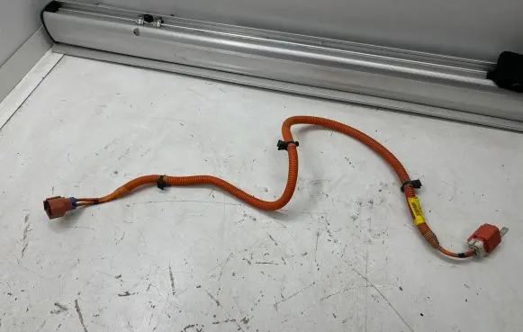 Tesla Model S Other wiring loom 600738300C