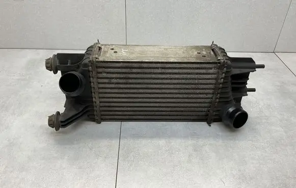 Nissan Juke I F15 Intercooler radiator 144611KB2A