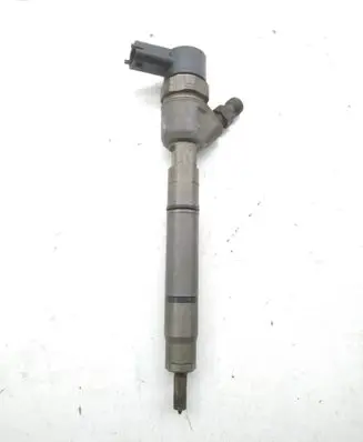 Hyundai i30 Fuel injector 0445110320 338002A900