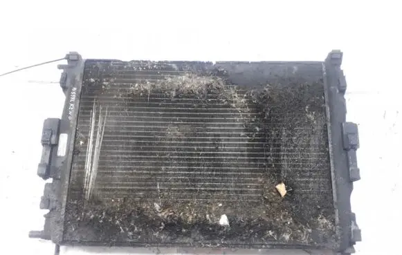 Renault Scenic II - Grand scenic II Coolant radiator 8200115542 872199f