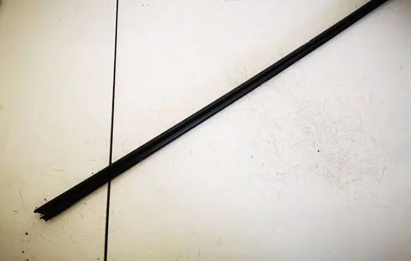 Citroen C3 Front door glass trim molding