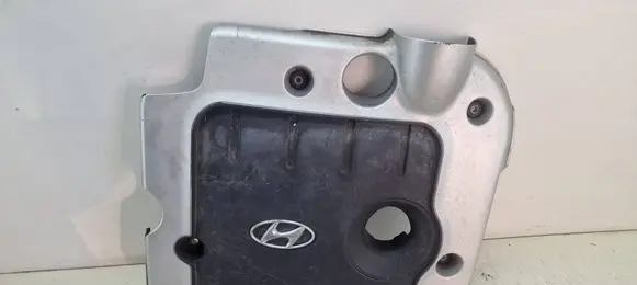 Hyundai Santa Fe Engine cover (trim) 