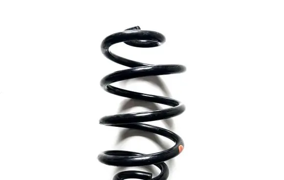 Nissan Leaf I (ZE0) Rear coil spring 550203NA0B 550203NF0C 55032EN00A