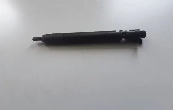 Ford Galaxy Fuel injector 9686191080