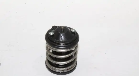 Mini Cooper Countryman R60 Thermostat 7805192
