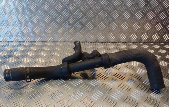 Renault Espace - Grand espace IV Engine coolant pipe/hose 20251
