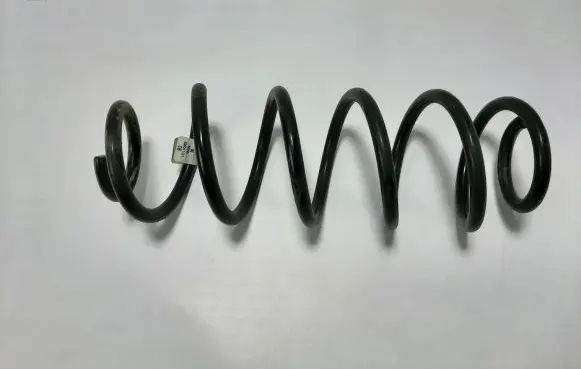 Rear coil spring