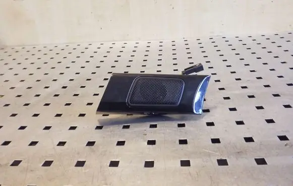 Front door high frequency speaker