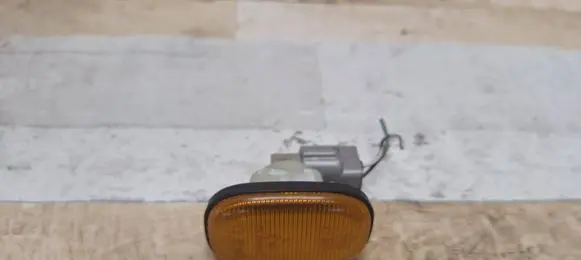 Front fender indicator light