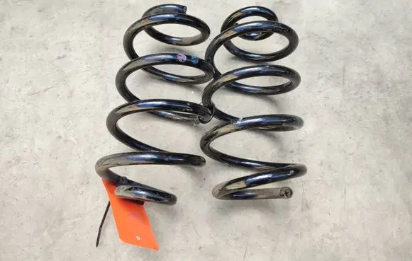 Renault Zoe Rear coil spring