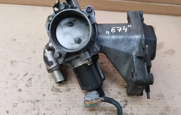 Renault Laguna II Throttle valve 8200056350
