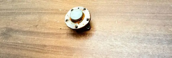 Skoda Scala Rear wheel hub