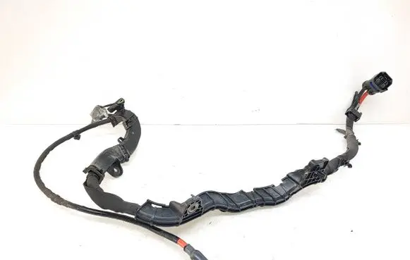 Other wiring loom
