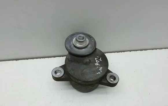 Ford Mustang V Alternator belt tensioner BR3E6B209ED