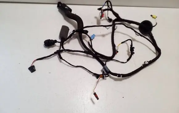 Audi A5 Front door wiring loom 8W8971029AE