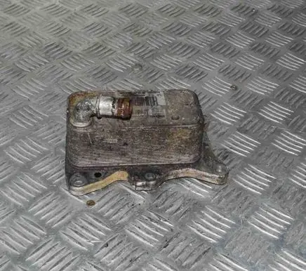 Mercedes-Benz Sprinter W906 Engine oil radiator U0767004 A6511800865