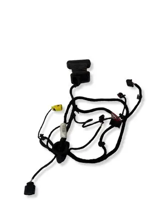 Volkswagen PASSAT B6 Front door wiring loom 1Z0971913