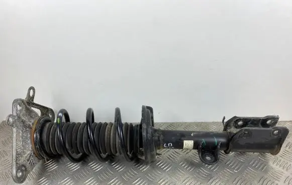 Jeep Compass Rear shock absorber with coil spring 68359650AA