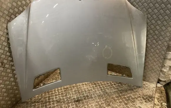Engine bonnet/hood