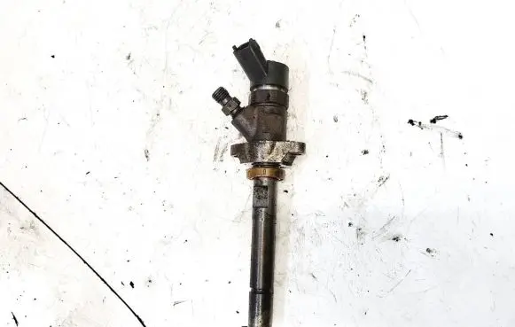 Citroen Jumpy Fuel injector 0445110239 606680