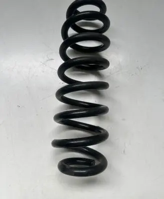 Rear coil spring
