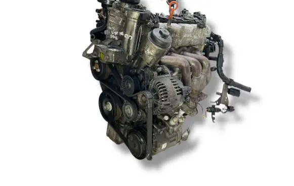 Volkswagen Golf V Engine BLF