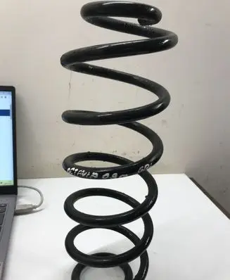 Skoda Octavia Mk2 (1Z) Rear coil spring
