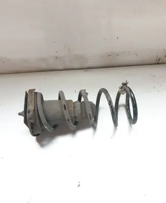 Volvo S60 Rear coil spring 31255537