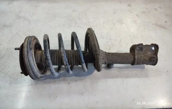 Hyundai Santa Fe Front shock absorber with coil spring