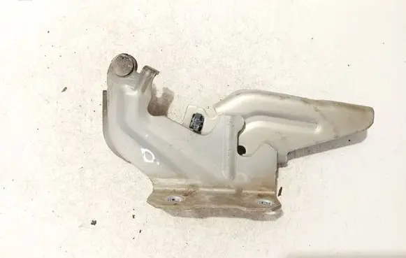 Mitsubishi Lancer X Tailgate/trunk/boot hinge