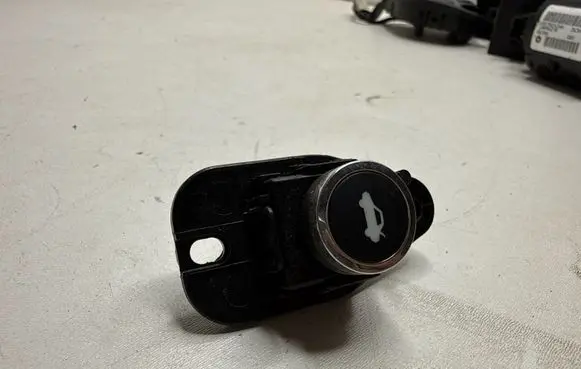 Dodge Charger Tailgate opening switch L0202772AC