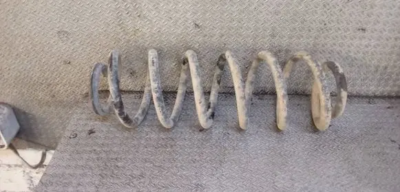 Volkswagen PASSAT B6 Rear coil spring