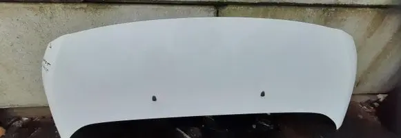 Citroen Jumpy Engine bonnet/hood LAKEWP