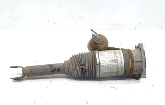 Audi A8 S8 D3 4E Rear shock absorber/damper 4E0616002F