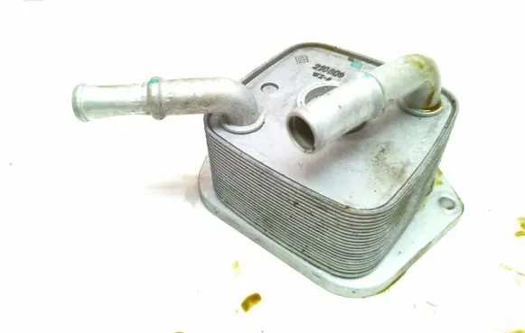 Opel Astra L Oil filter mounting bracket 210809
