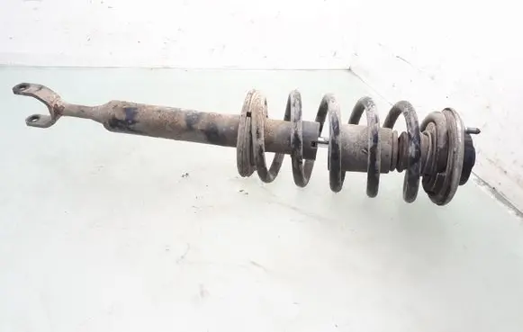 Volkswagen PASSAT B5.5 Front shock absorber with coil spring