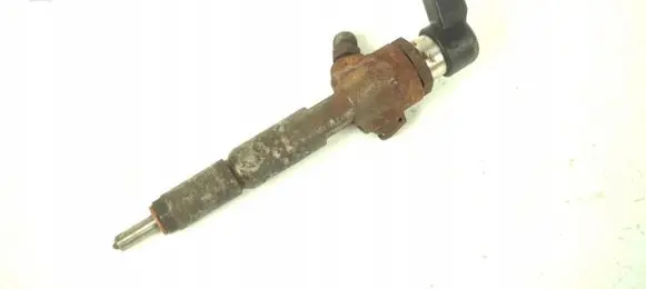 Ford Transit - Tourneo Connect Fuel injector 7T1Q-9F593-AB