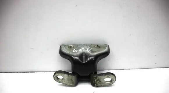 KIA Stonic Rear door lower hinge 1120102