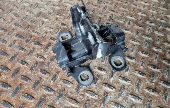 Dacia Duster Rear door hinge set 