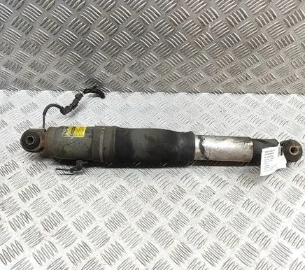 Cadillac Escalade Rear shock absorber/damper 22312299