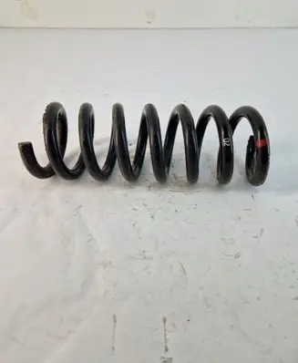Rear coil spring