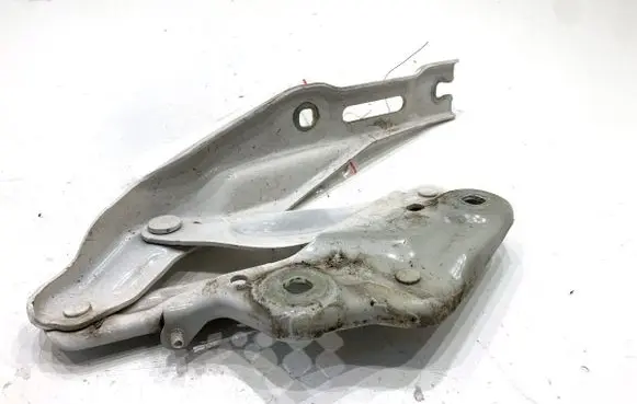Skoda Scala Engine bonnet/hood hinges 654823301